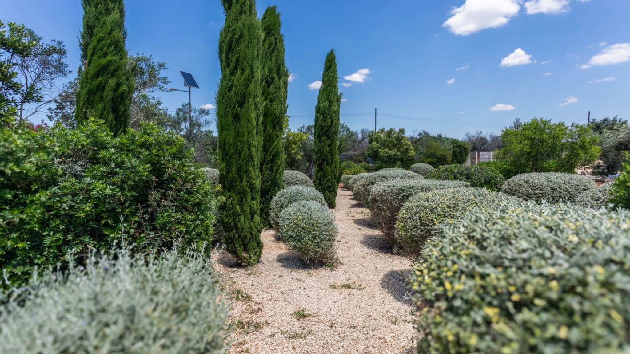 Italianway Alliste Trullo Timo - Salento Reservation