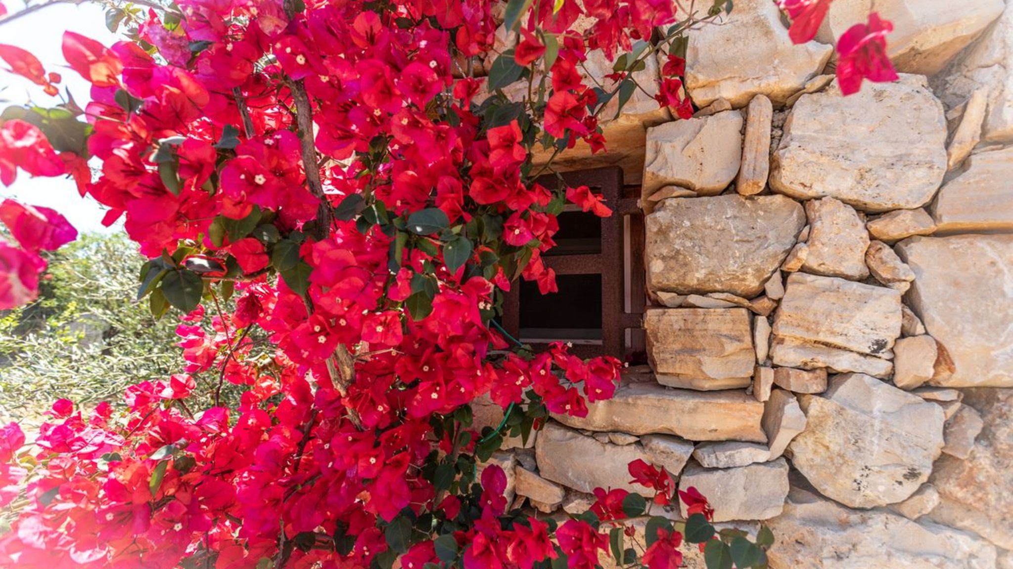 Italianway Alliste Trullo Rosmarino - Salento Reservation