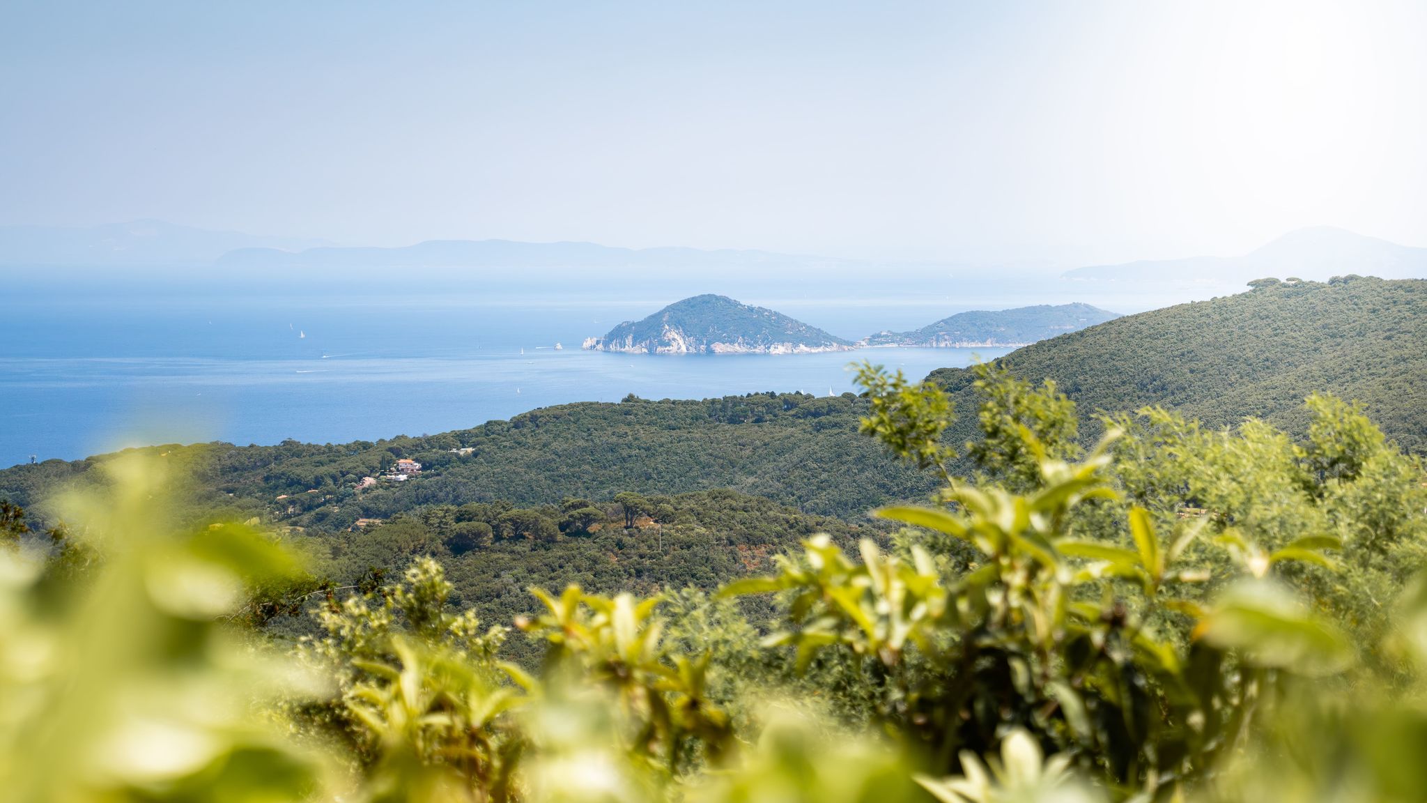 Italianway Marciana Domu de Zita - Poggio