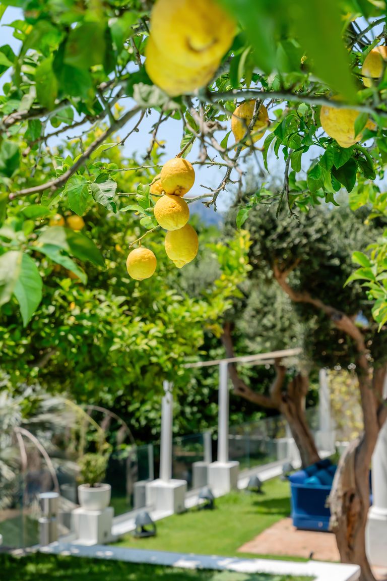 Italianway Capri Villa Pupetta by Elite Villas