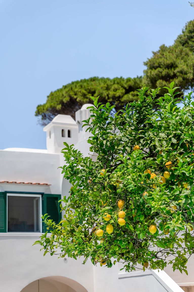 Italianway Capri Villa Pupetta by Elite Villas