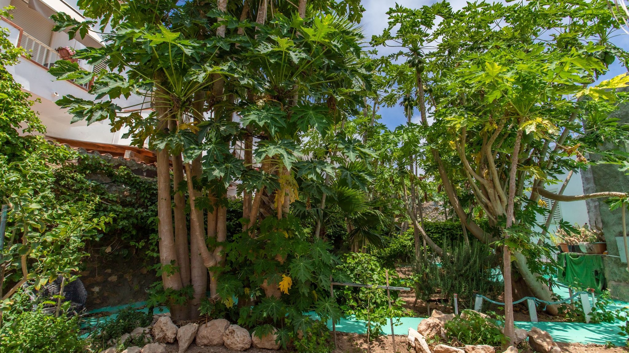 Italianway Lampedusa e Linosa La Casetta di Orazio