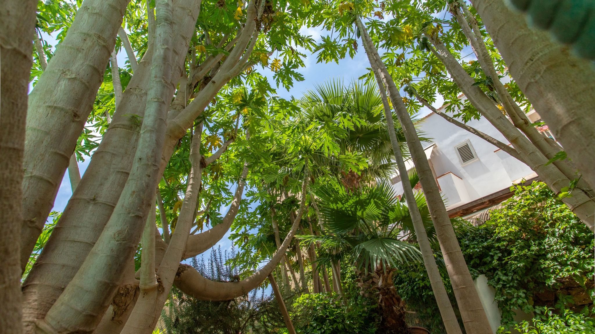 Italianway Lampedusa e Linosa La Casetta di Orazio