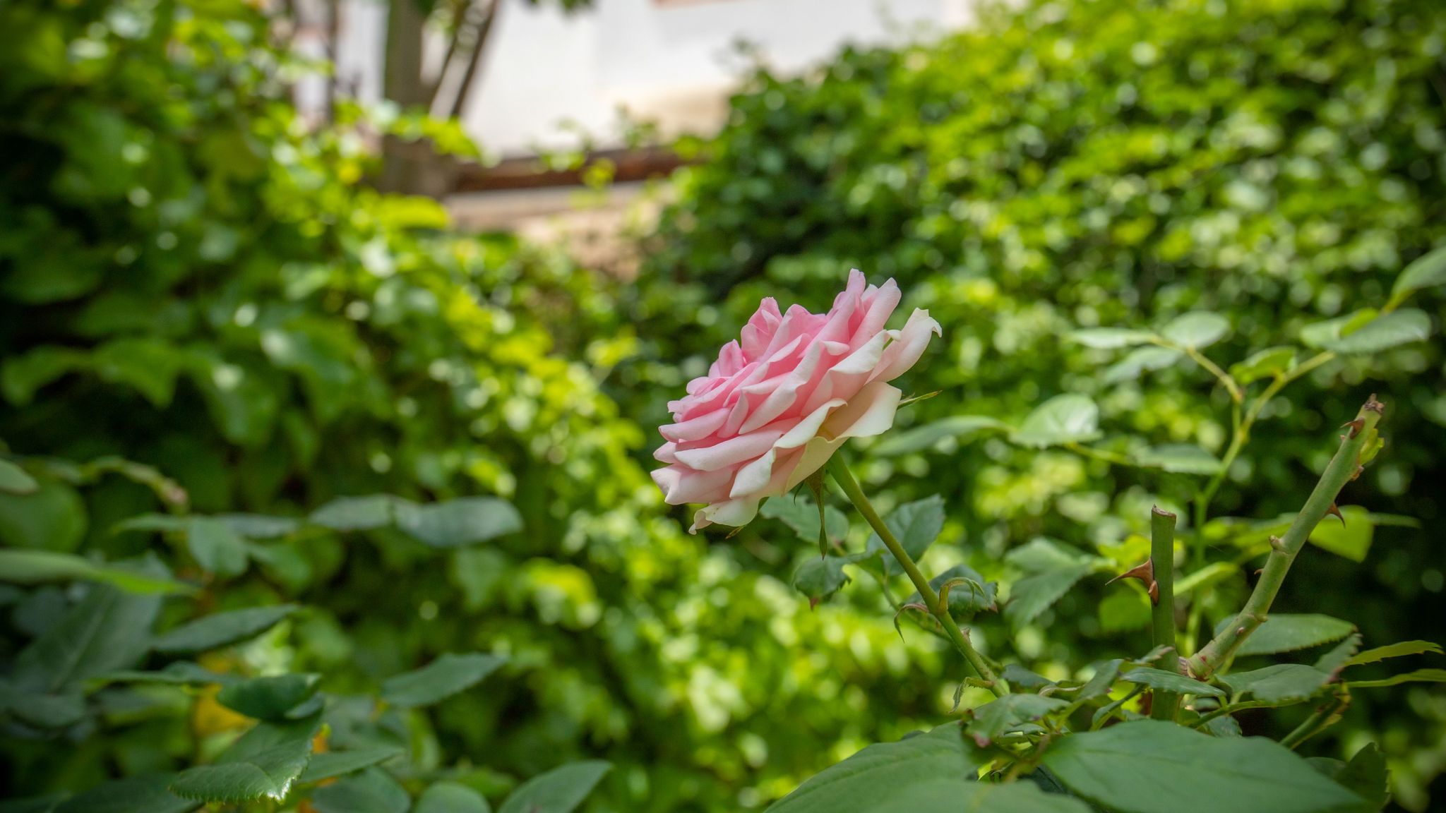 Italianway Lampedusa e Linosa La Casetta di Orazio
