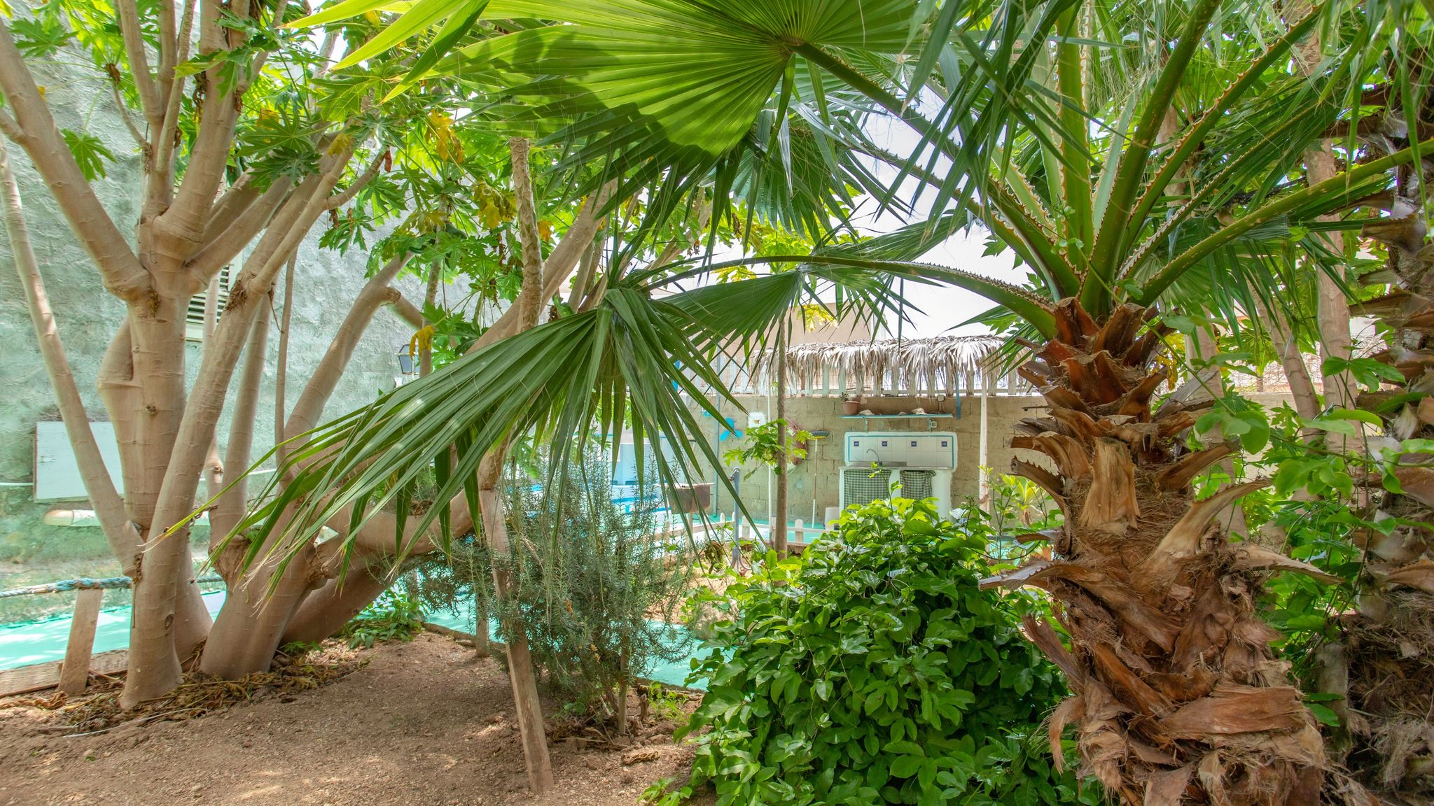 Italianway Lampedusa e Linosa La Casetta di Orazio