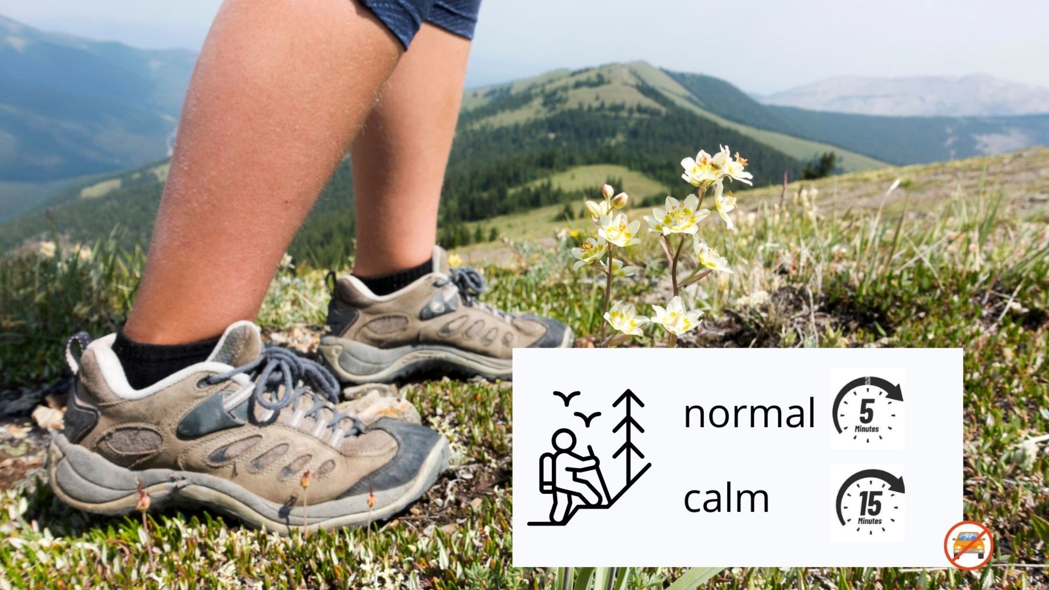 Italianway Incudine EcoBaita del Cacciatore