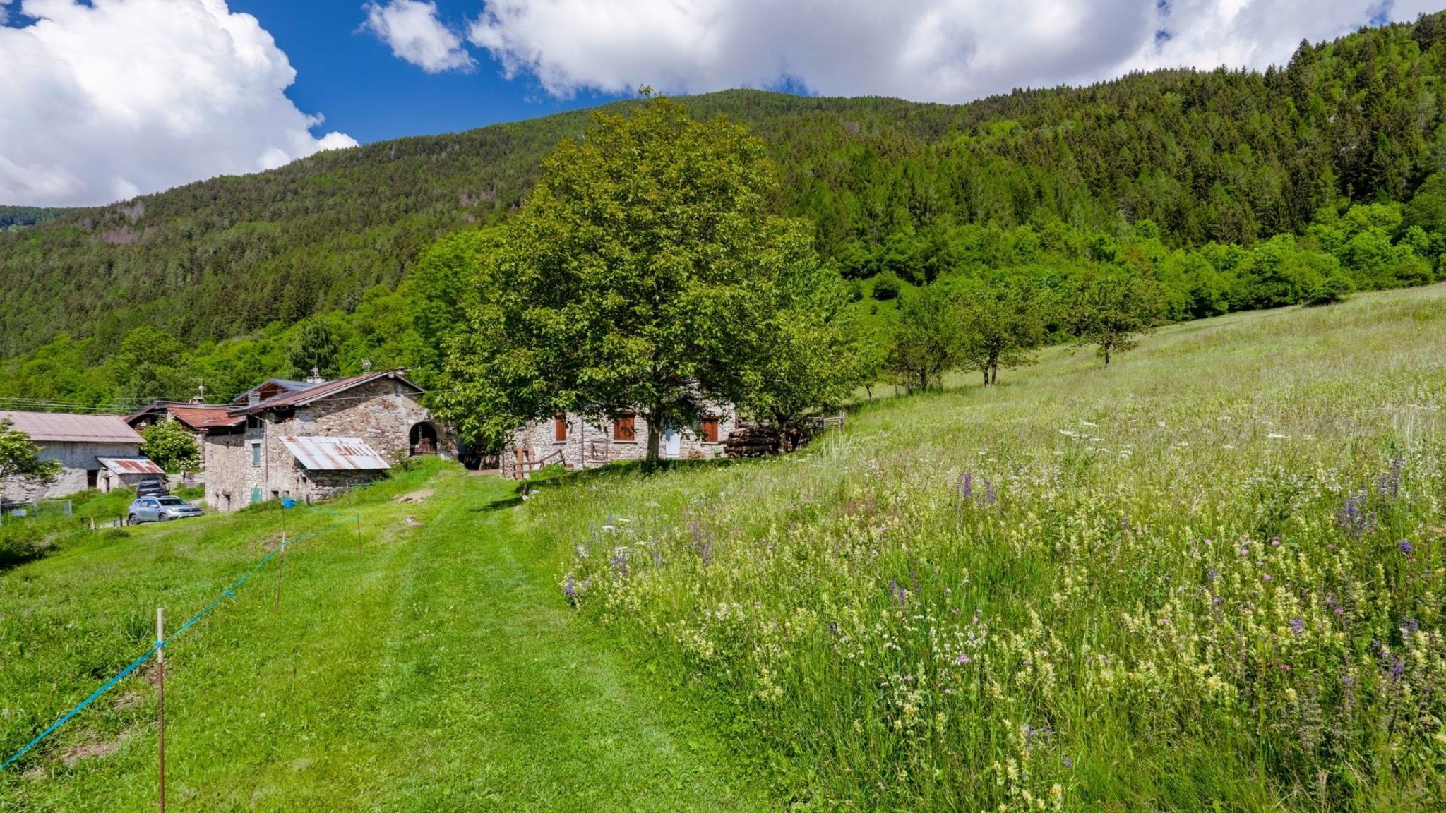 Italianway Incudine El Bait