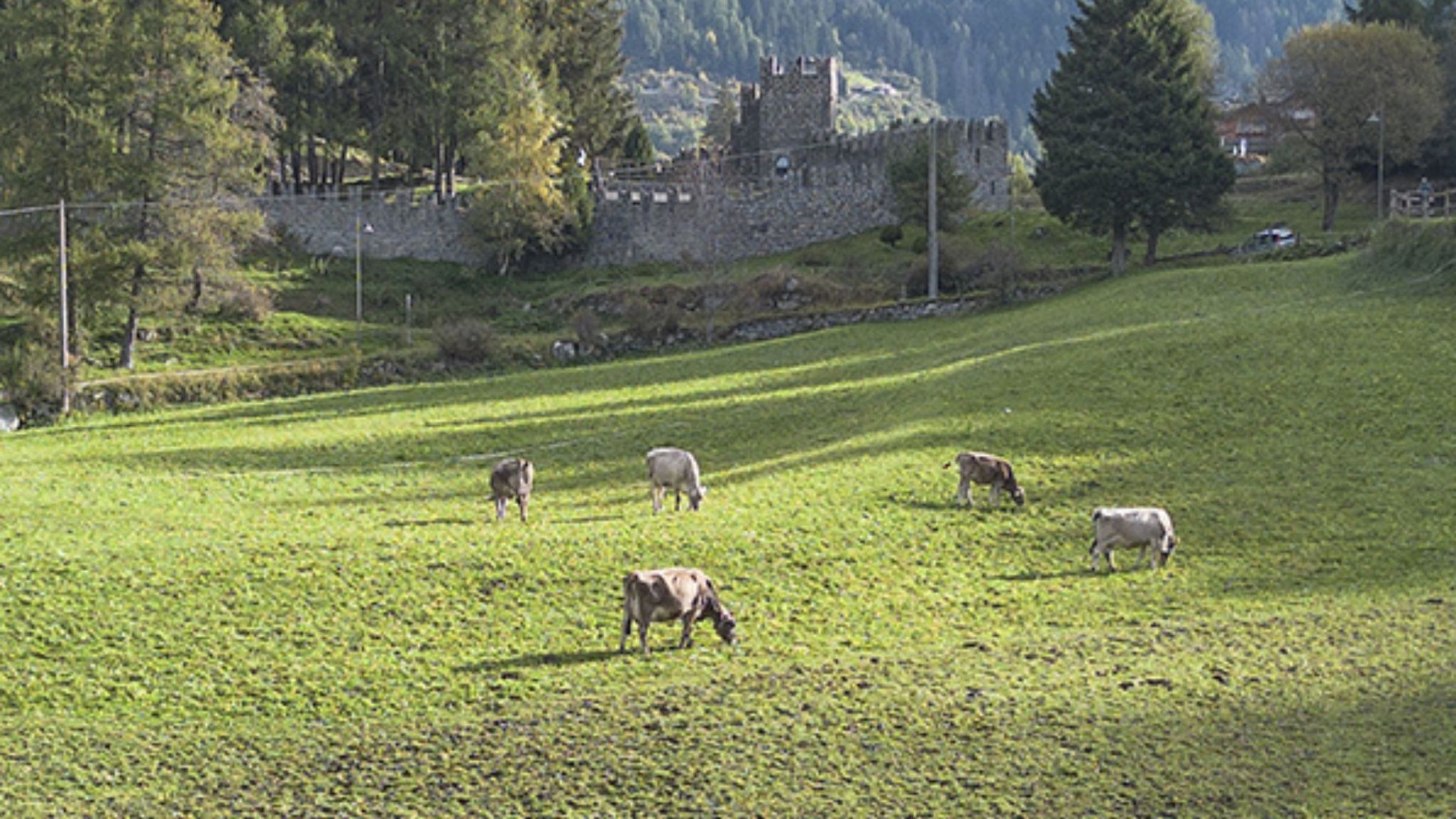 Italianway Ponte di Legno Sesto Senso