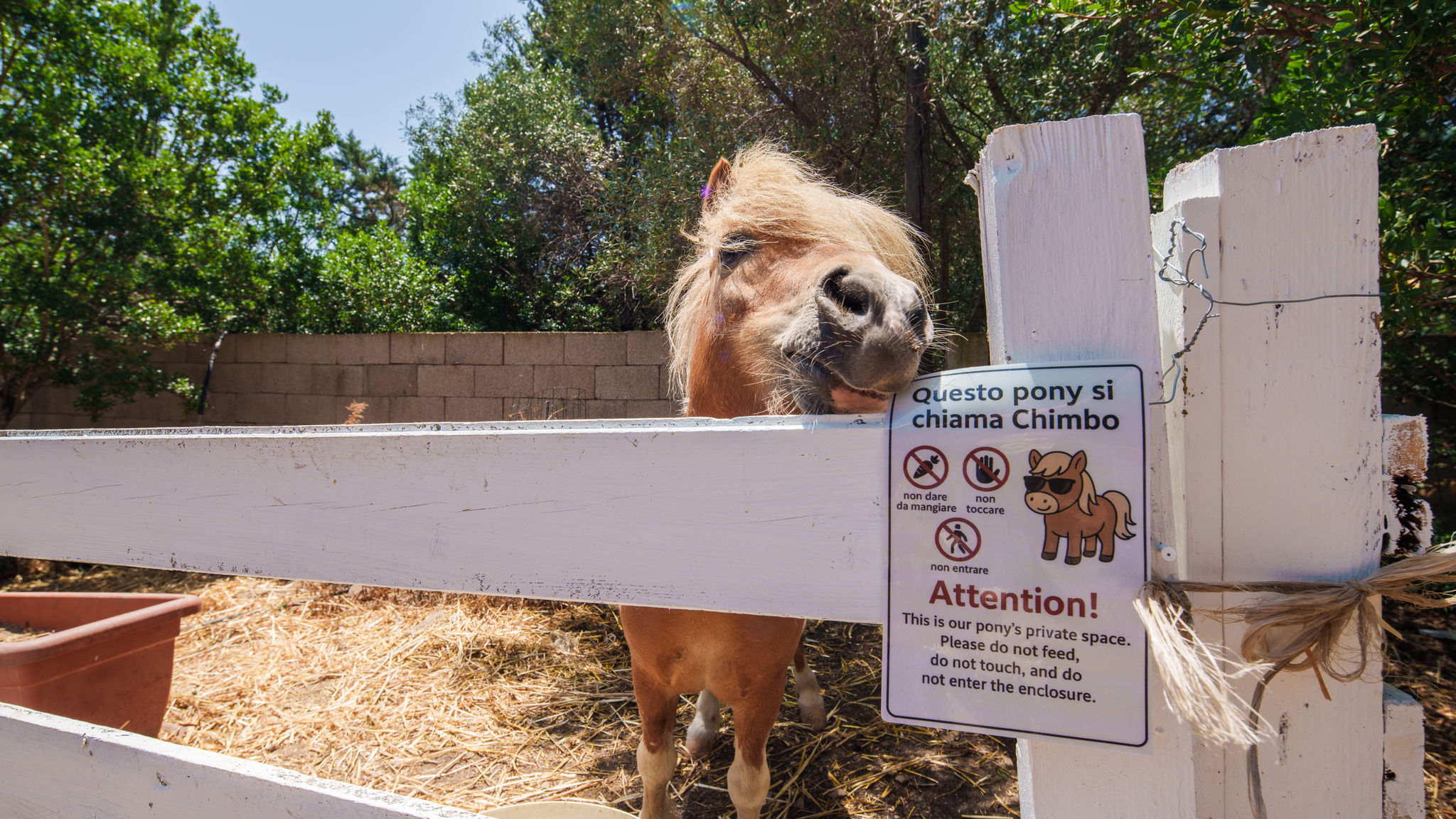 Italianway Olbia Villa Pony