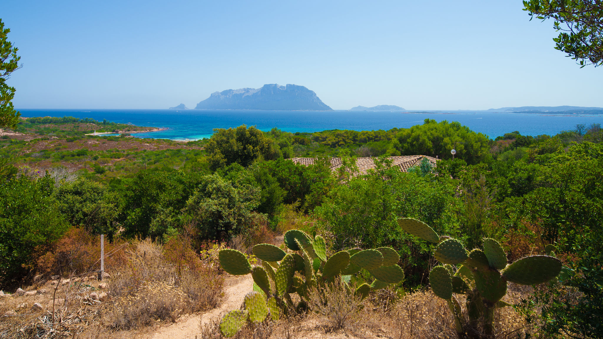Italianway Olbia Villa Pony