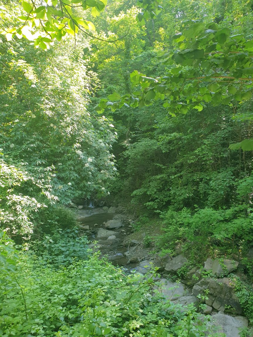 Italianway Arezzo Il Mulino nel Bosco