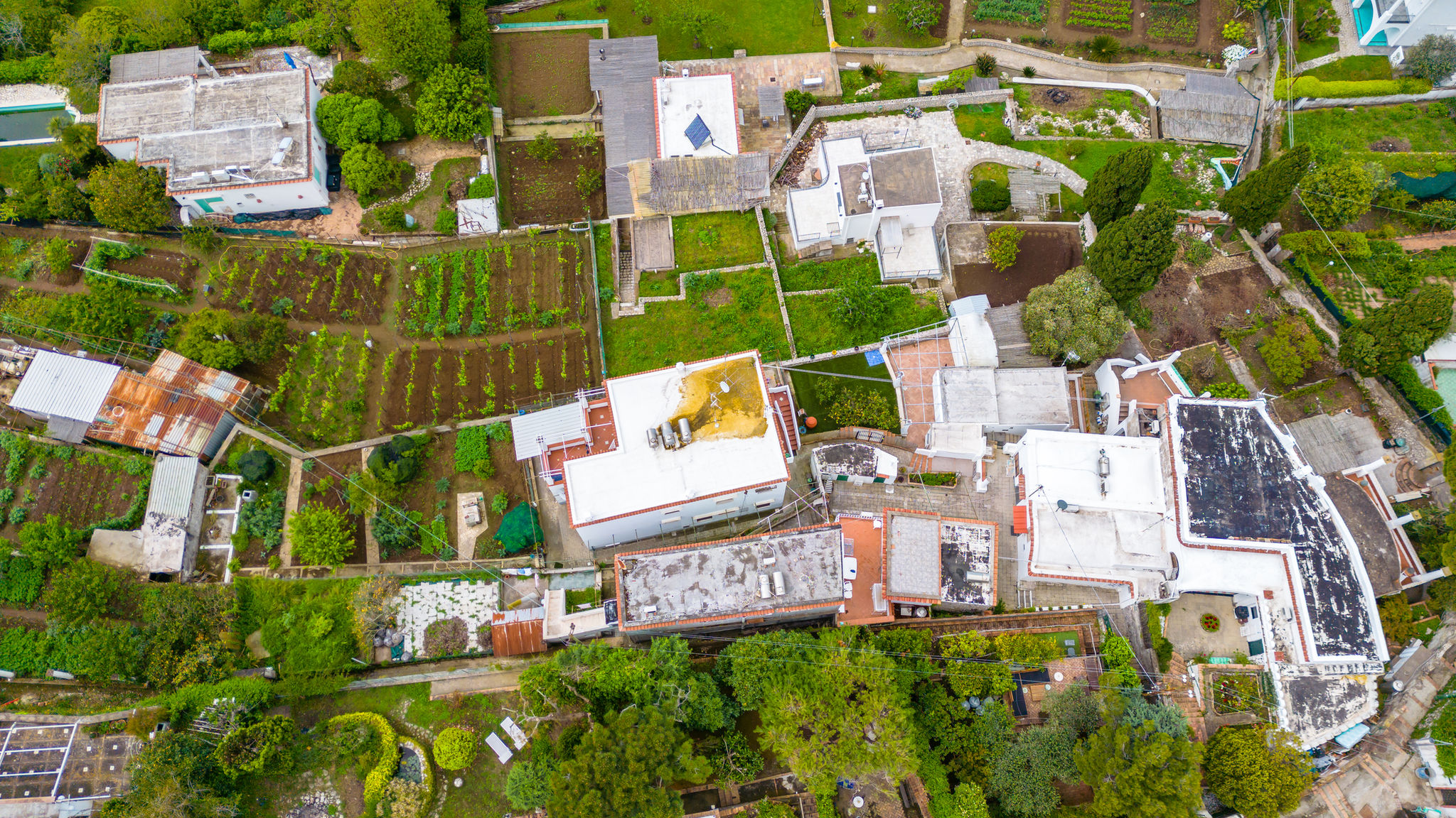 Napoliapartments.it Anacapri Villa delle Ninfee by Napoliapartments