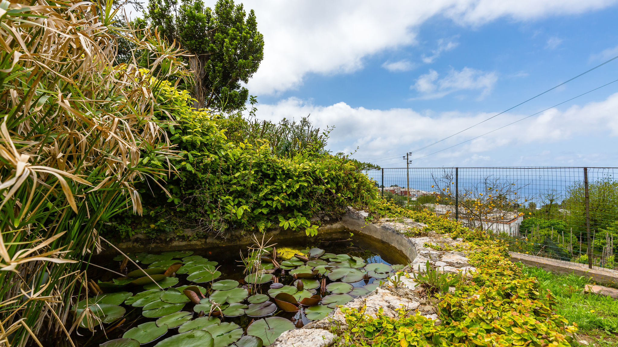 Napoliapartments.it Anacapri Villa delle Ninfee by Napoliapartments