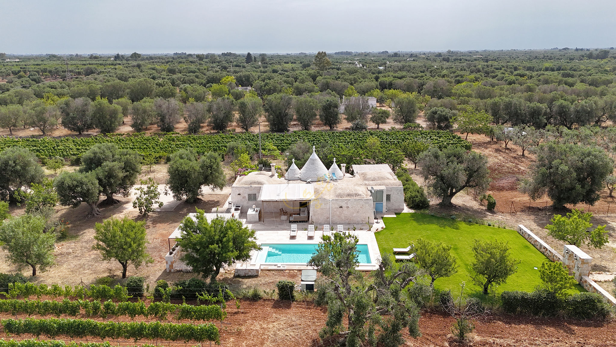 Italianway Ostuni TD Trullo Titiro w/ Wine Cellar, Vineyard & Pool
