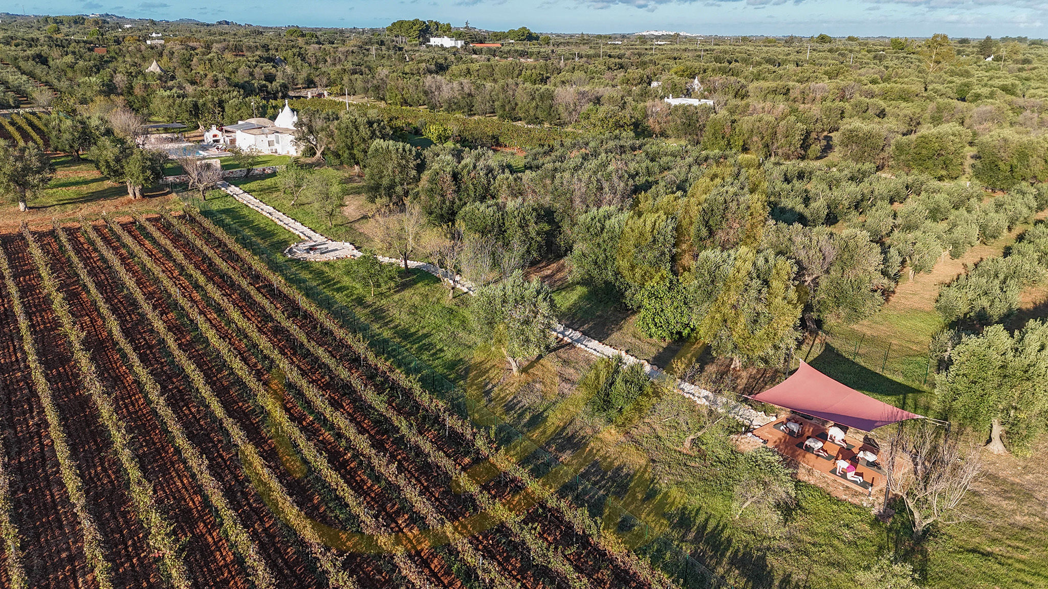 Italianway Ostuni TD Trullo Titiro w/ Wine Cellar, Vineyard & Pool