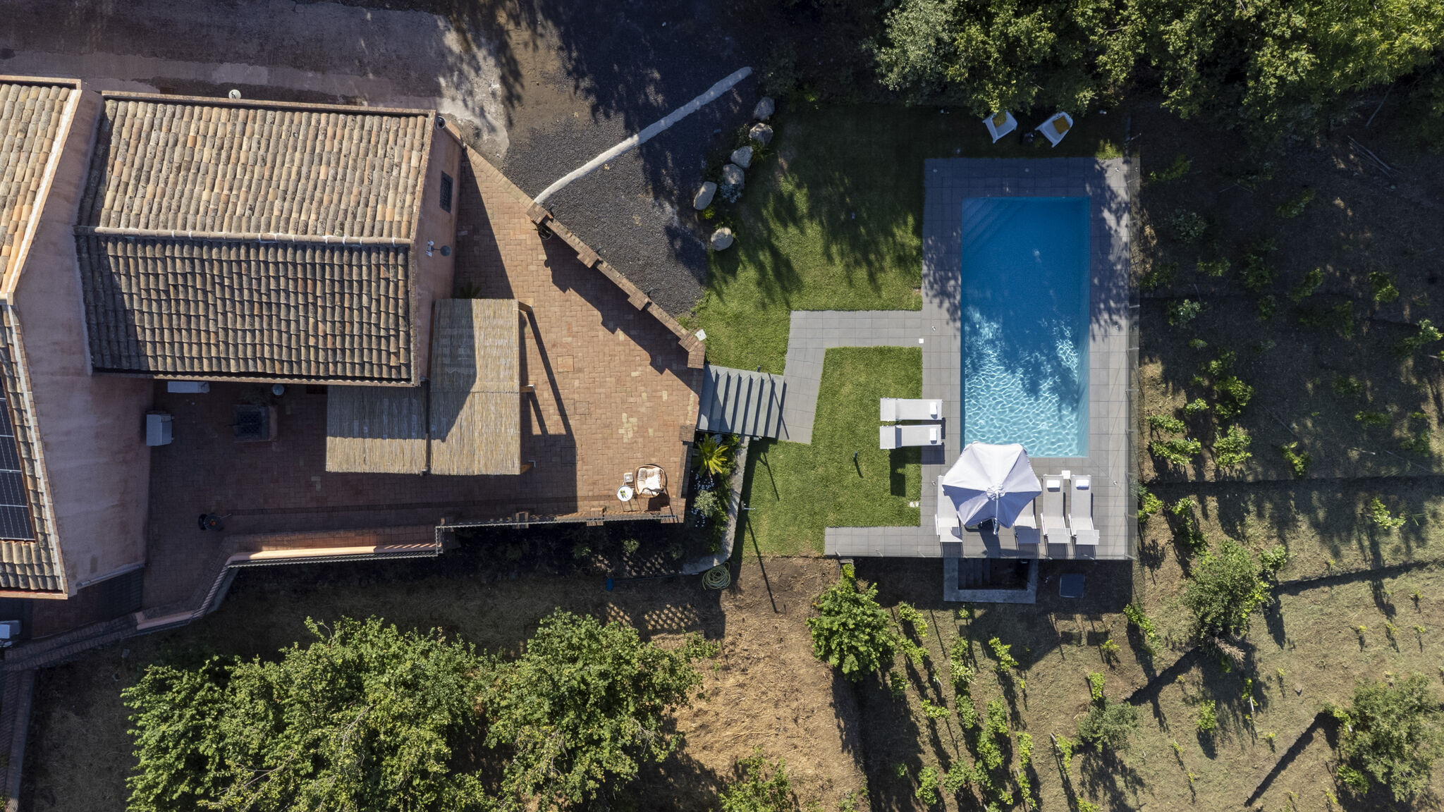 Italianway Mascali Vigne dell'Etna 6