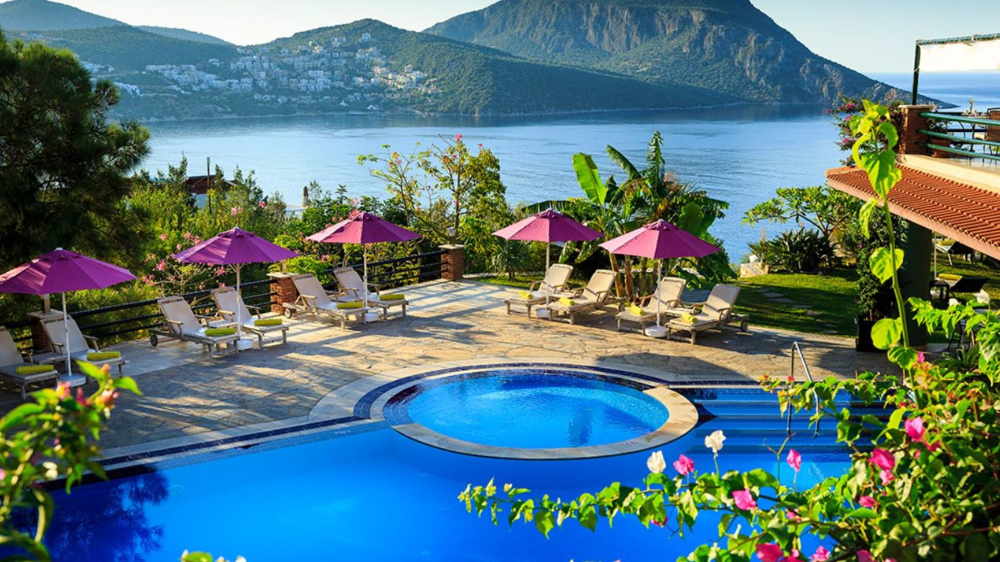 Orchard Suite Limon