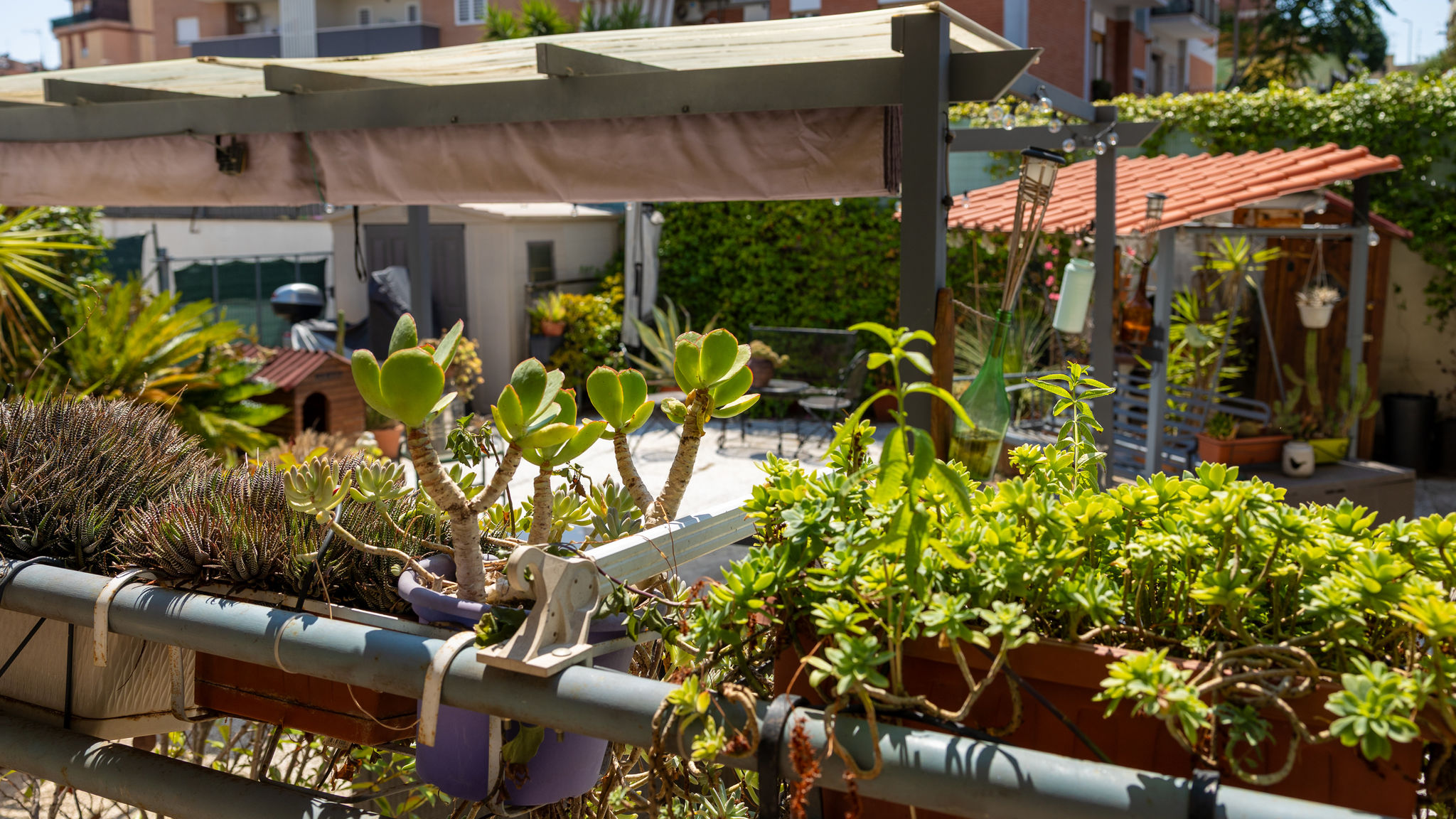 Italianway Roma Il pergolato