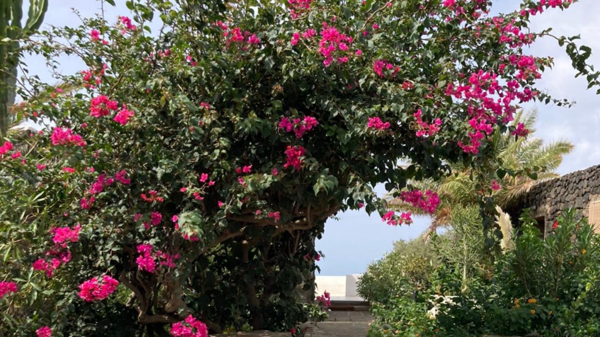 Italianway Pantelleria Dammusino A-mare