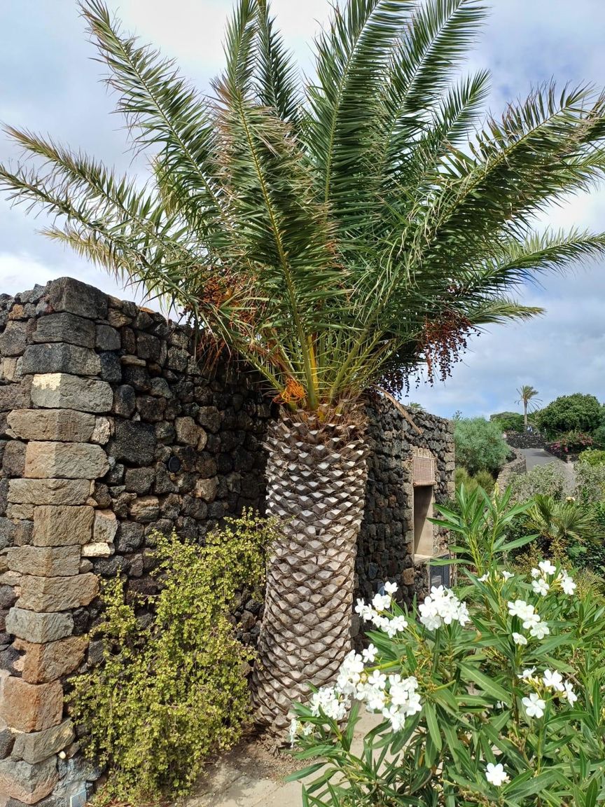 Italianway Pantelleria Dammusino A-mare