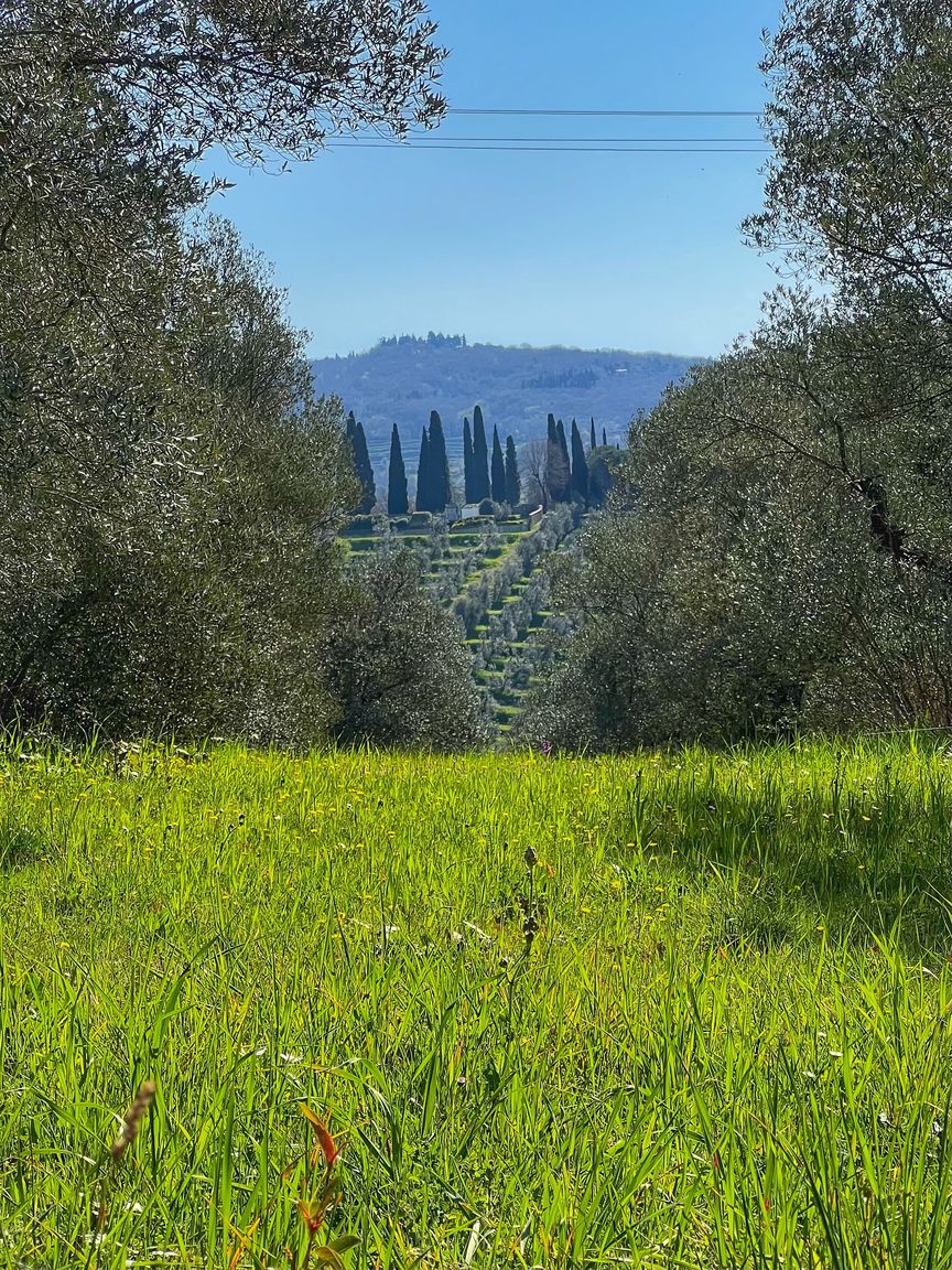 Italianway Arezzo La Corte di Muciafora