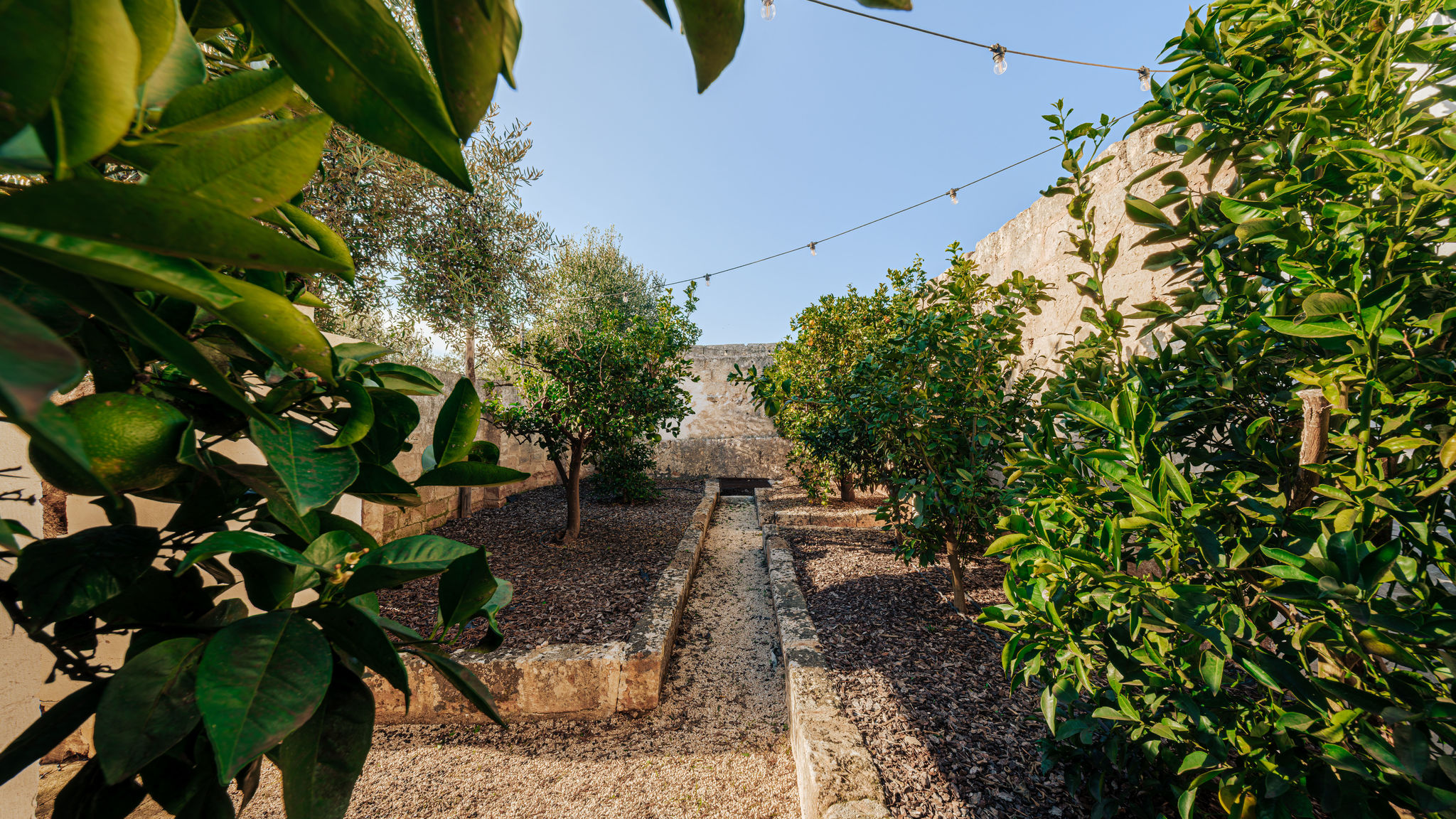 Italianway Polignano a Mare Opuntia Trulli E Lamie 10