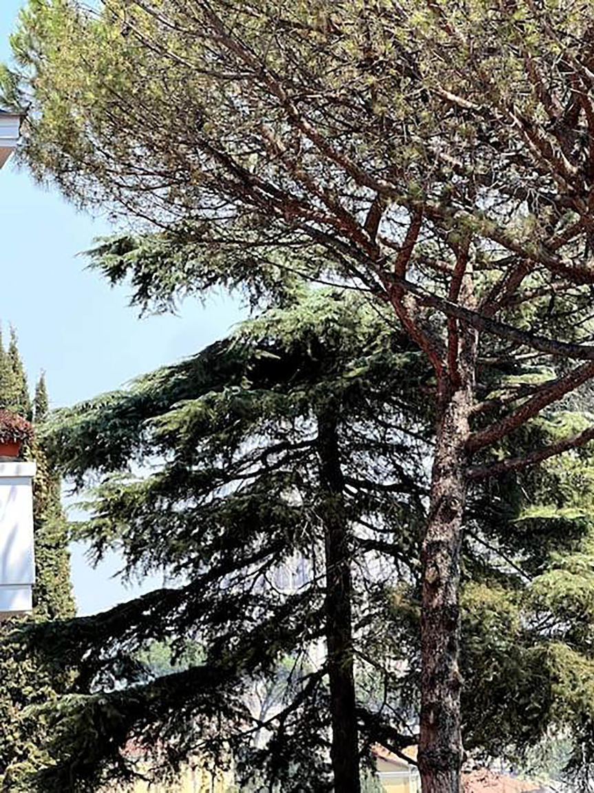 Italianway Roma Planny Apartment - Vaticano by Ghor