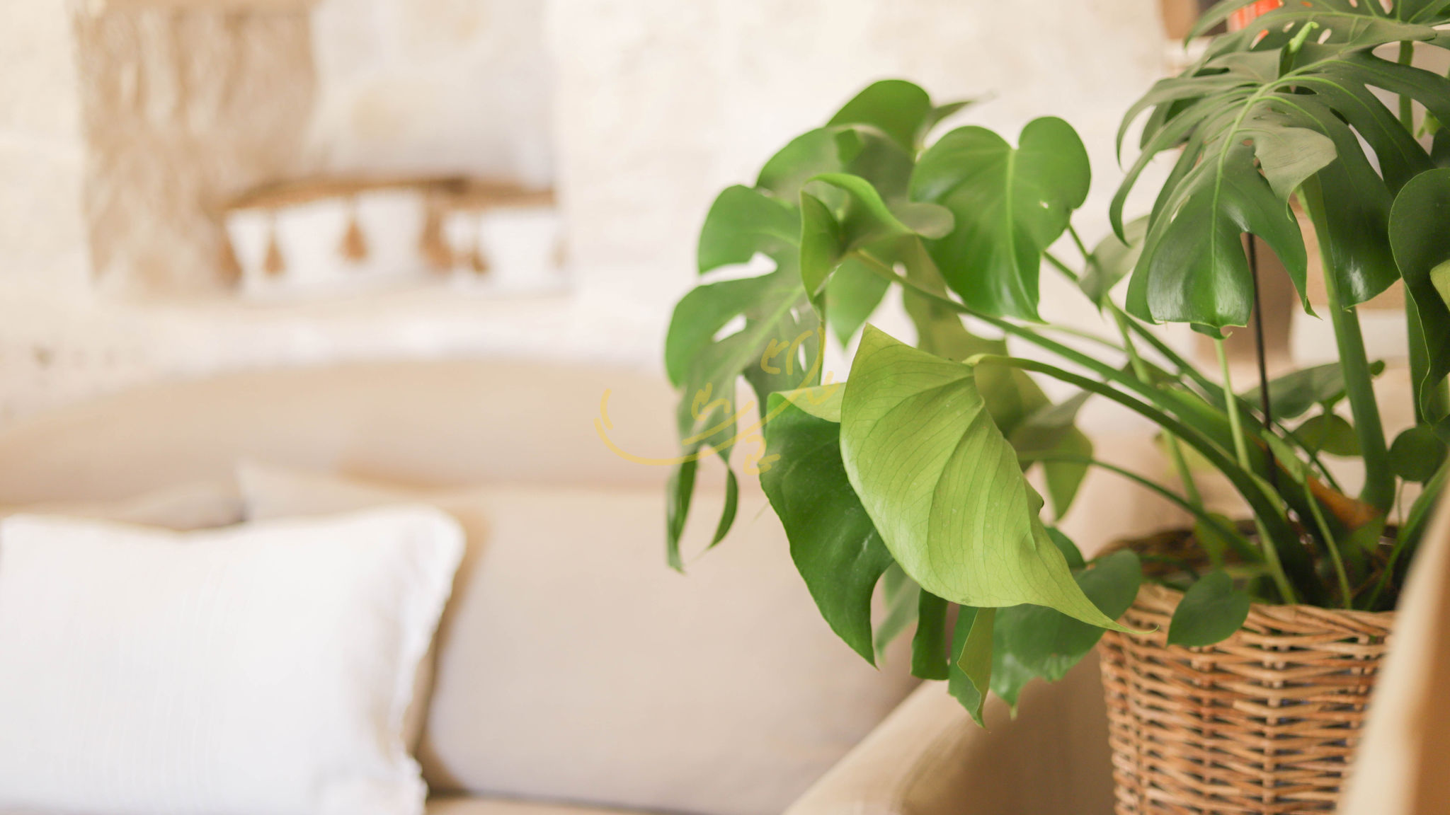 Italianway Ostuni TD Trulli di Carole Renovated Trulli with Pool