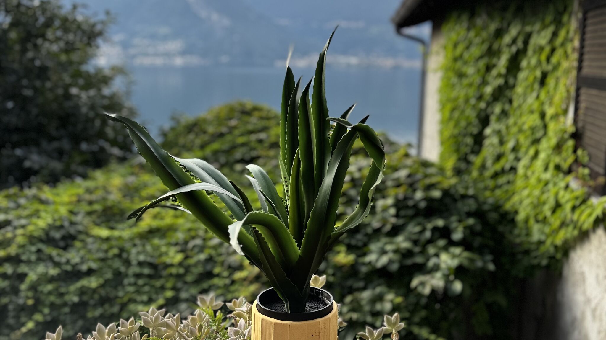 Italianway Dorio Bellavista by Gottschalk