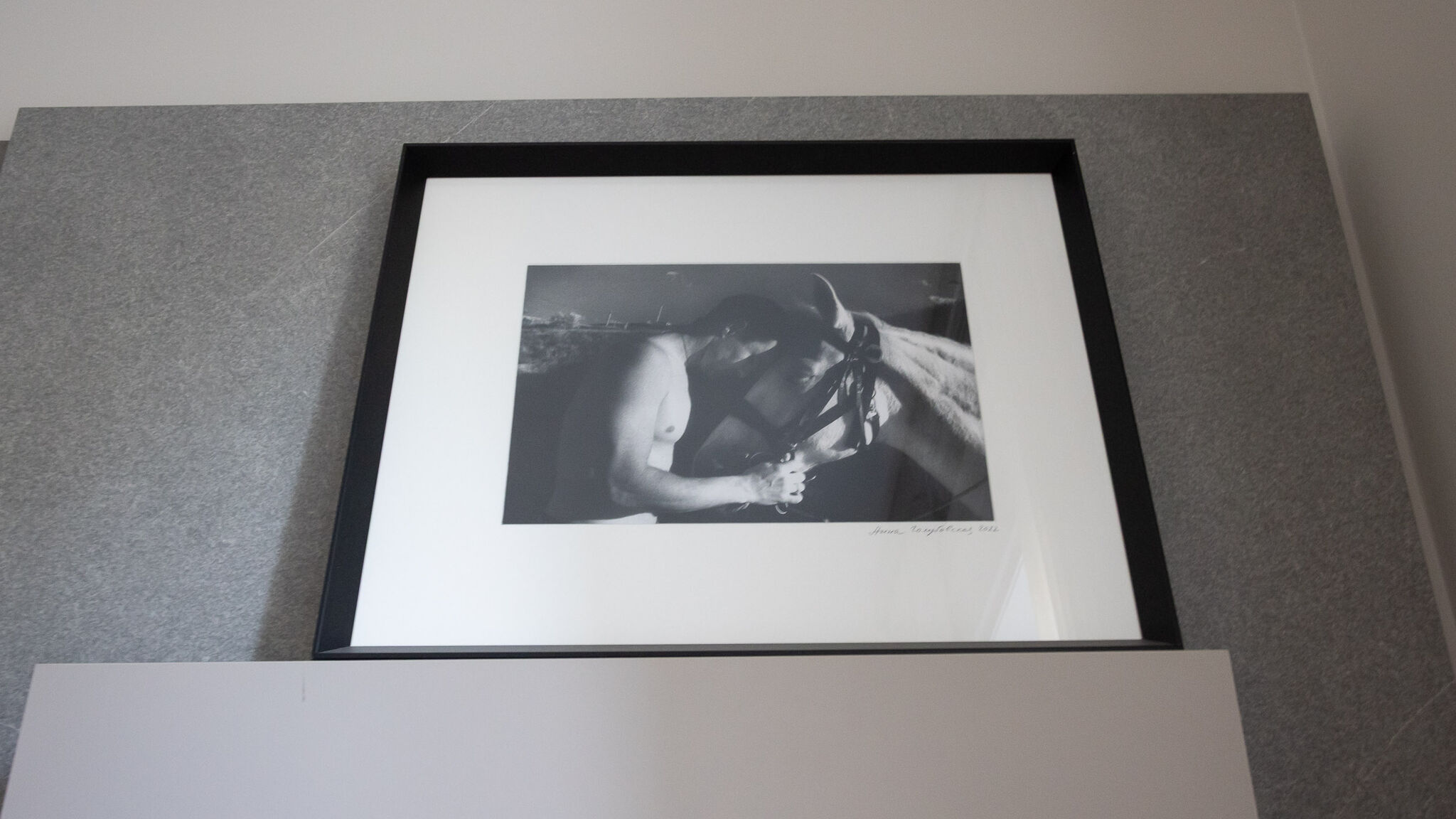 Italianway Milano Francesco Sforza 43