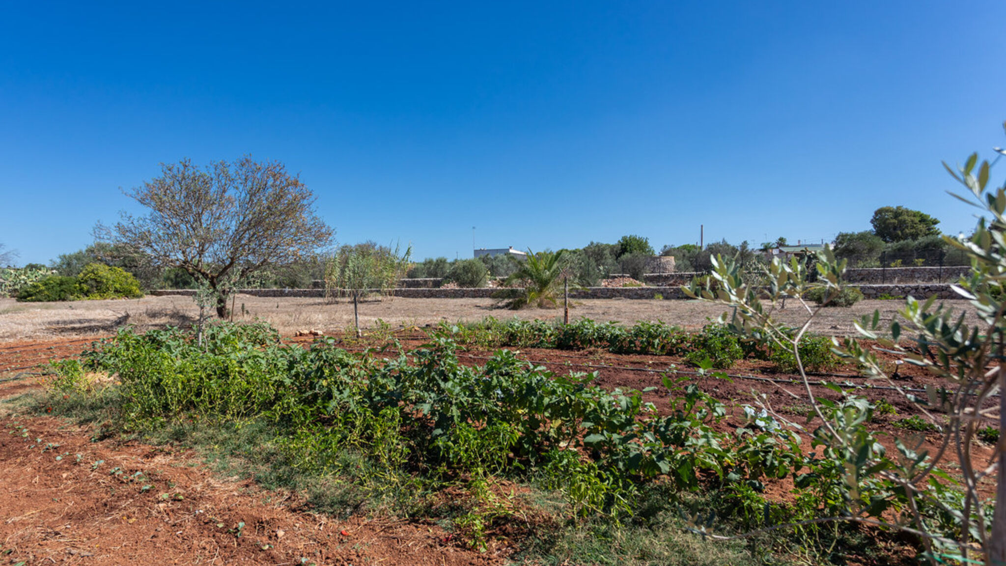 Italianway Alliste Tenuta Giardini di Anna - Salento Reservation