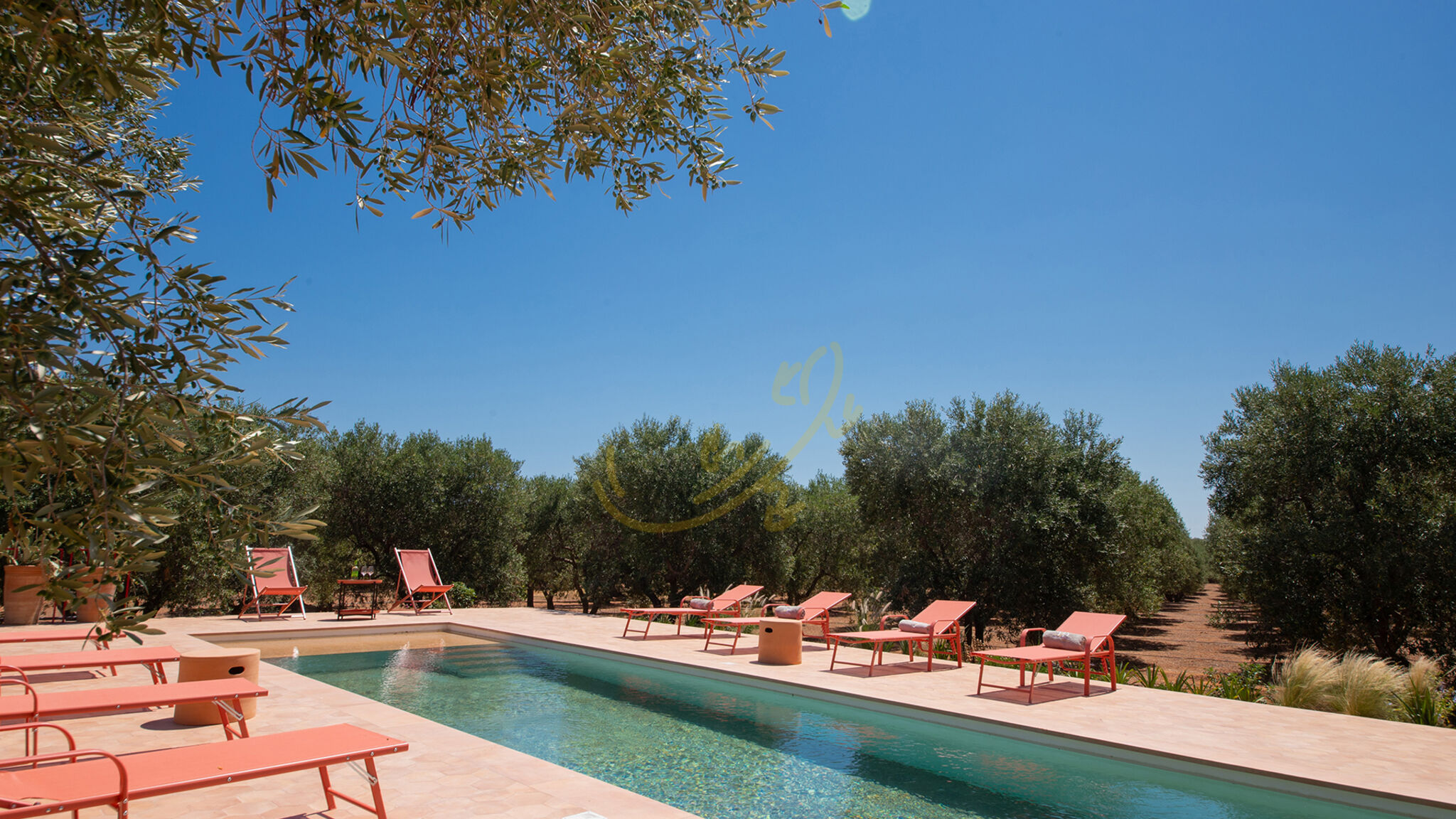Italianway Fasano TD Lamia Porta Rossa, Countryside w/Olive Trees