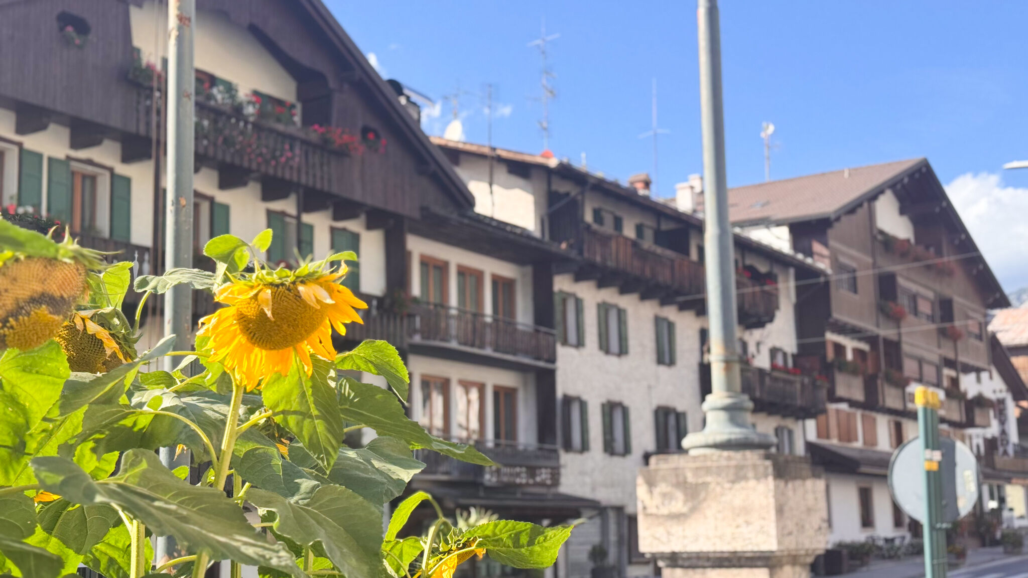 Italianway San Vito di Cadore Chalet Stravedo by Ca-Sa Check