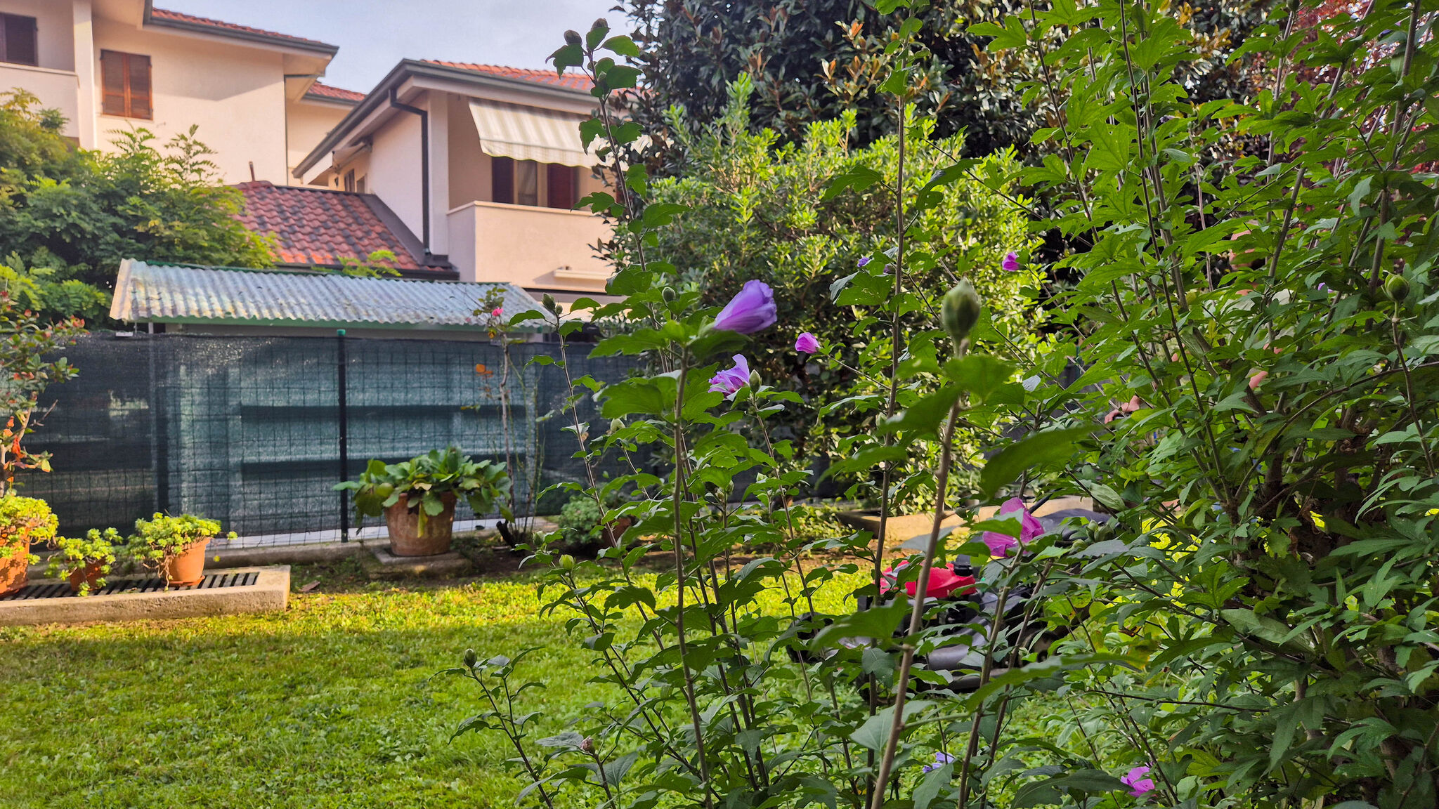 Italianway Sirmione Casa di Amelie By Case al Lago