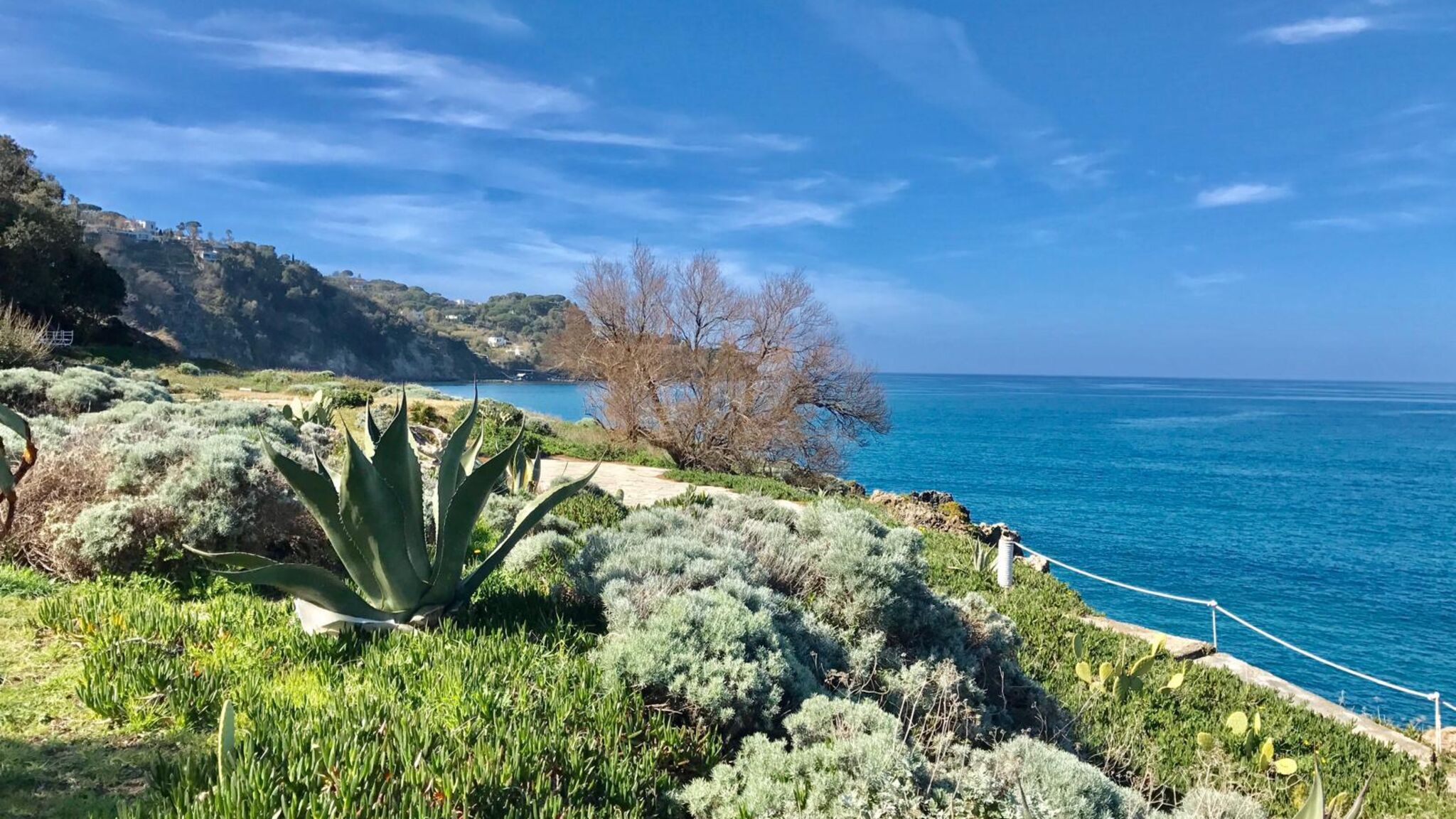 Italianway Ischia Il Gelso Nero
