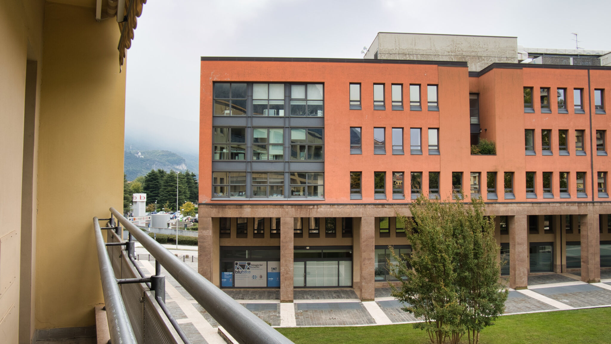 Nativoo Lecco The Lake Whale