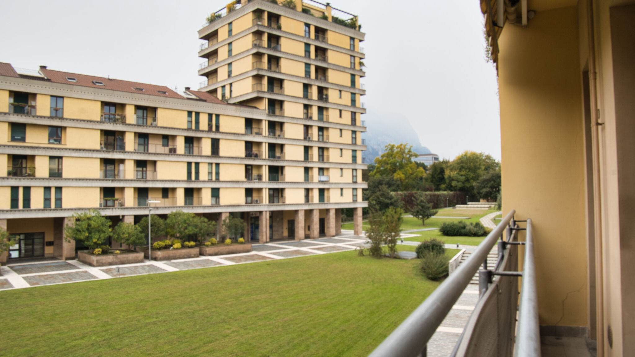 Nativoo Lecco The Lake Whale