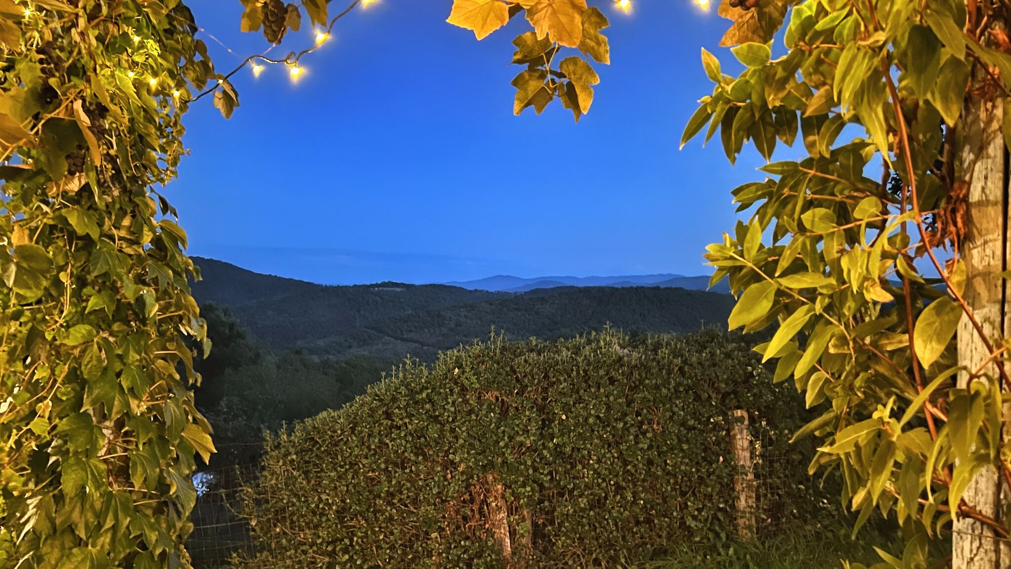 Italianway Subbiano La Fonte