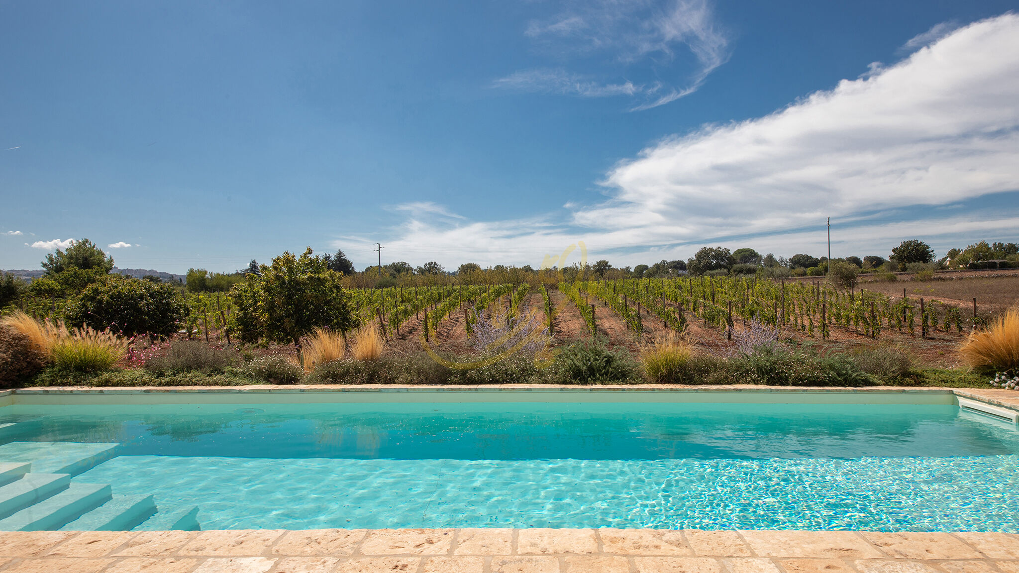 Italianway Martina Franca TD Trulli Perla Bianca Trulli w/ Pool & Vineyards