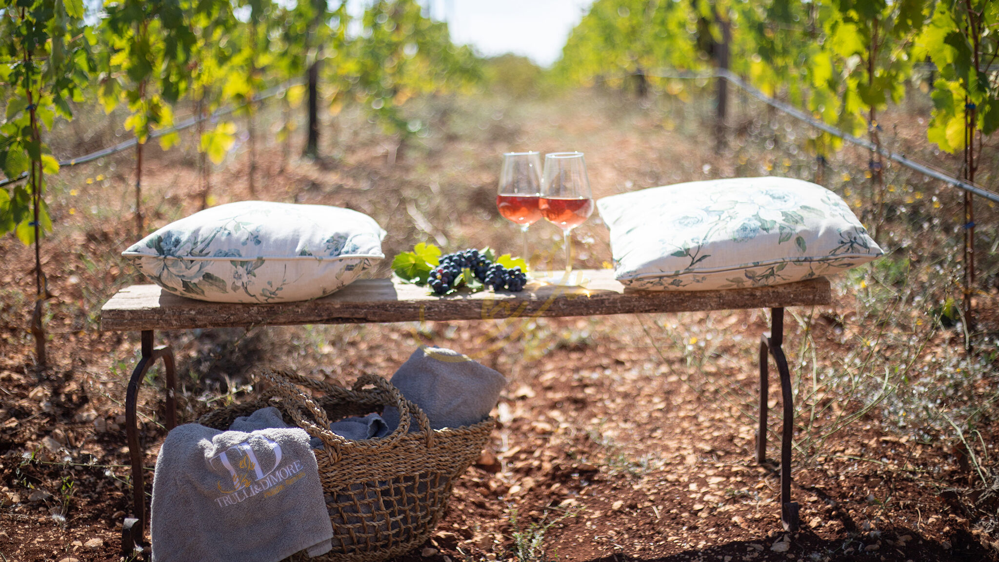 Italianway Martina Franca TD Trulli Perla Bianca Trulli w/ Pool & Vineyards