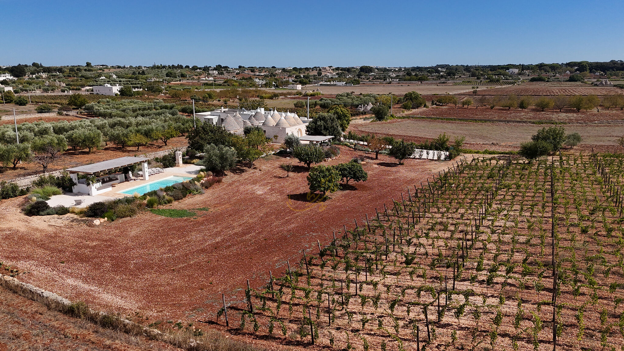 Italianway Martina Franca TD Trulli Perla Bianca Trulli w/ Pool & Vineyards