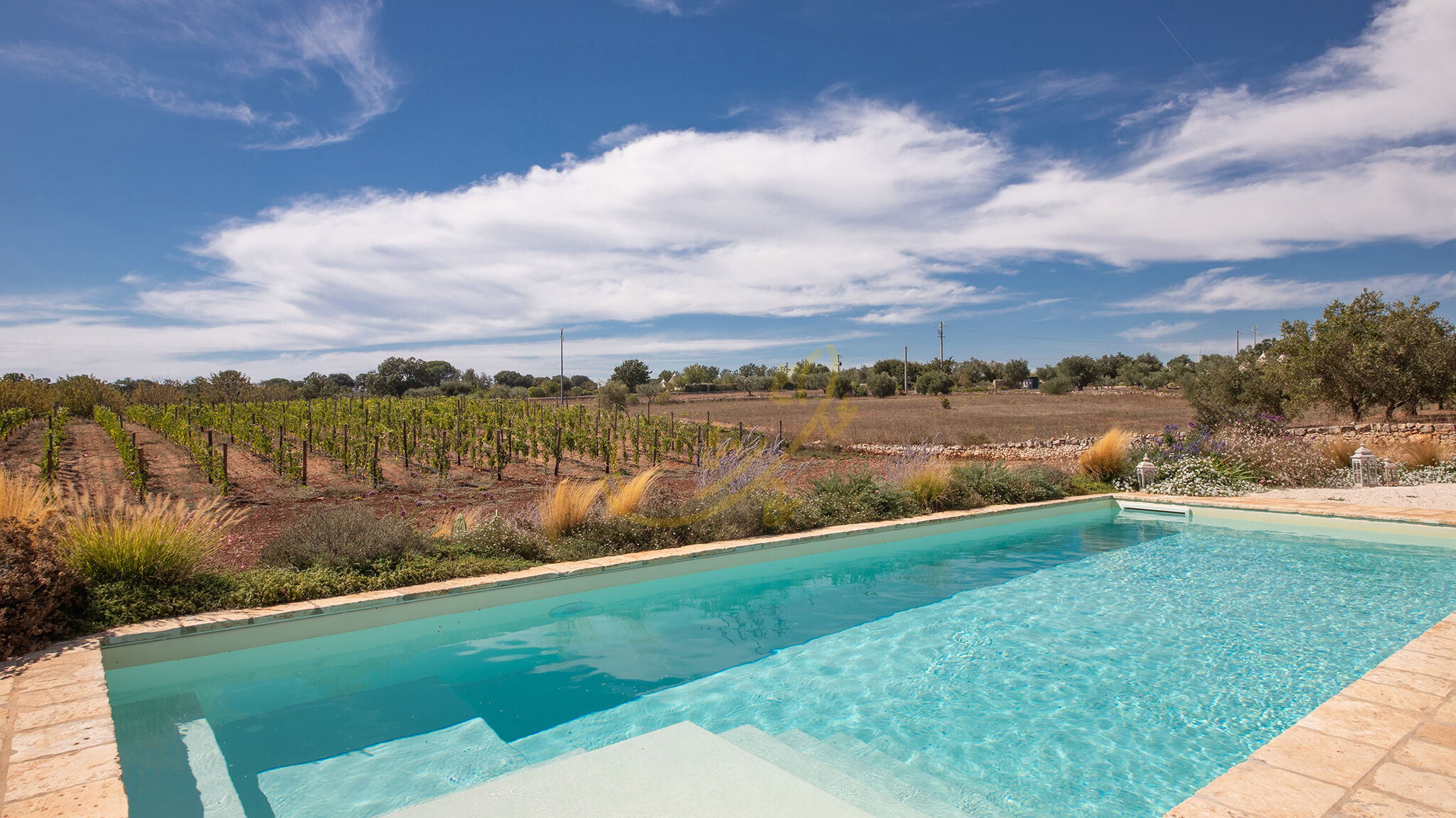 Italianway Martina Franca TD Trulli Perla Bianca Trulli w/ Pool & Vineyards