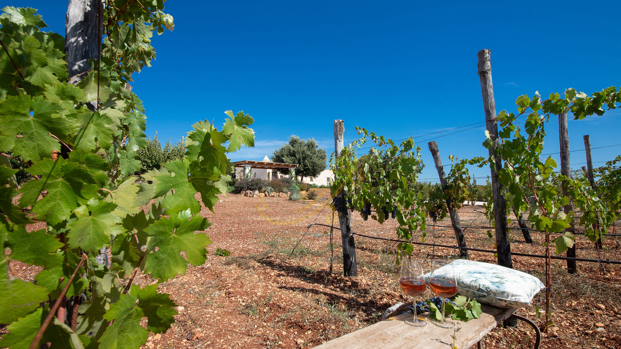Italianway Martina Franca TD Trulli Perla Bianca Trulli w/ Pool & Vineyards