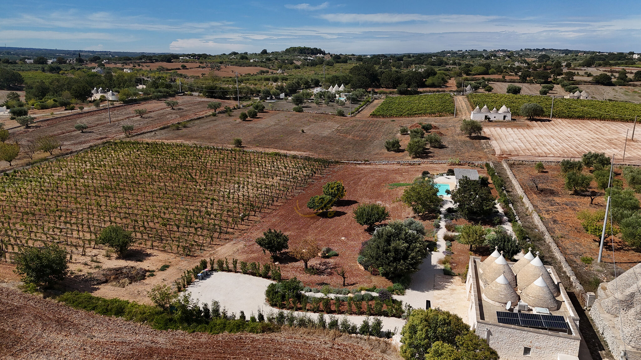 Italianway Martina Franca TD Trulli Perla Bianca Trulli w/ Pool & Vineyards