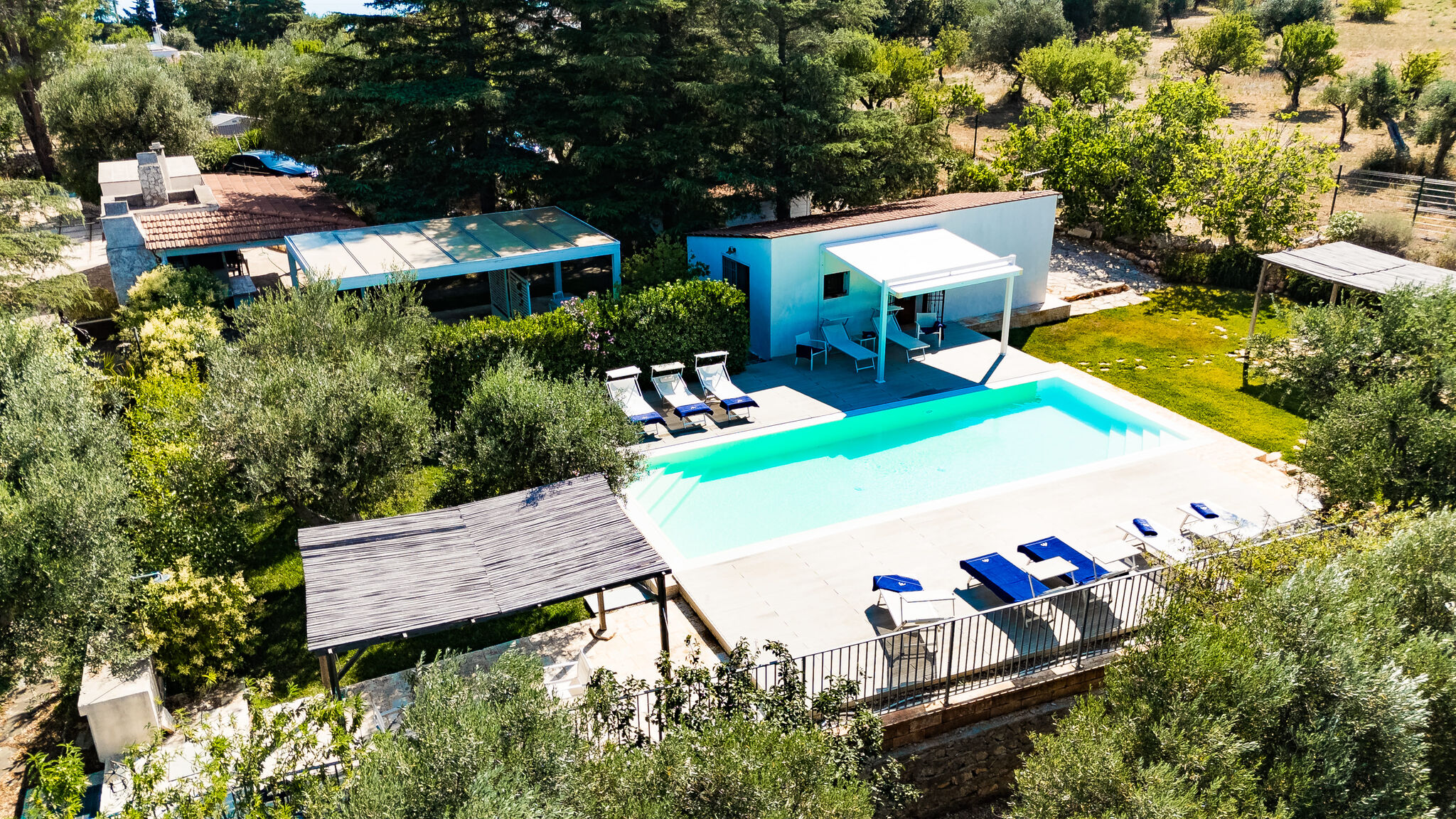 MONHOLIDAY - ospitalità e servizi per il turismo Monopoli Trulli del Capo - Casa tipica