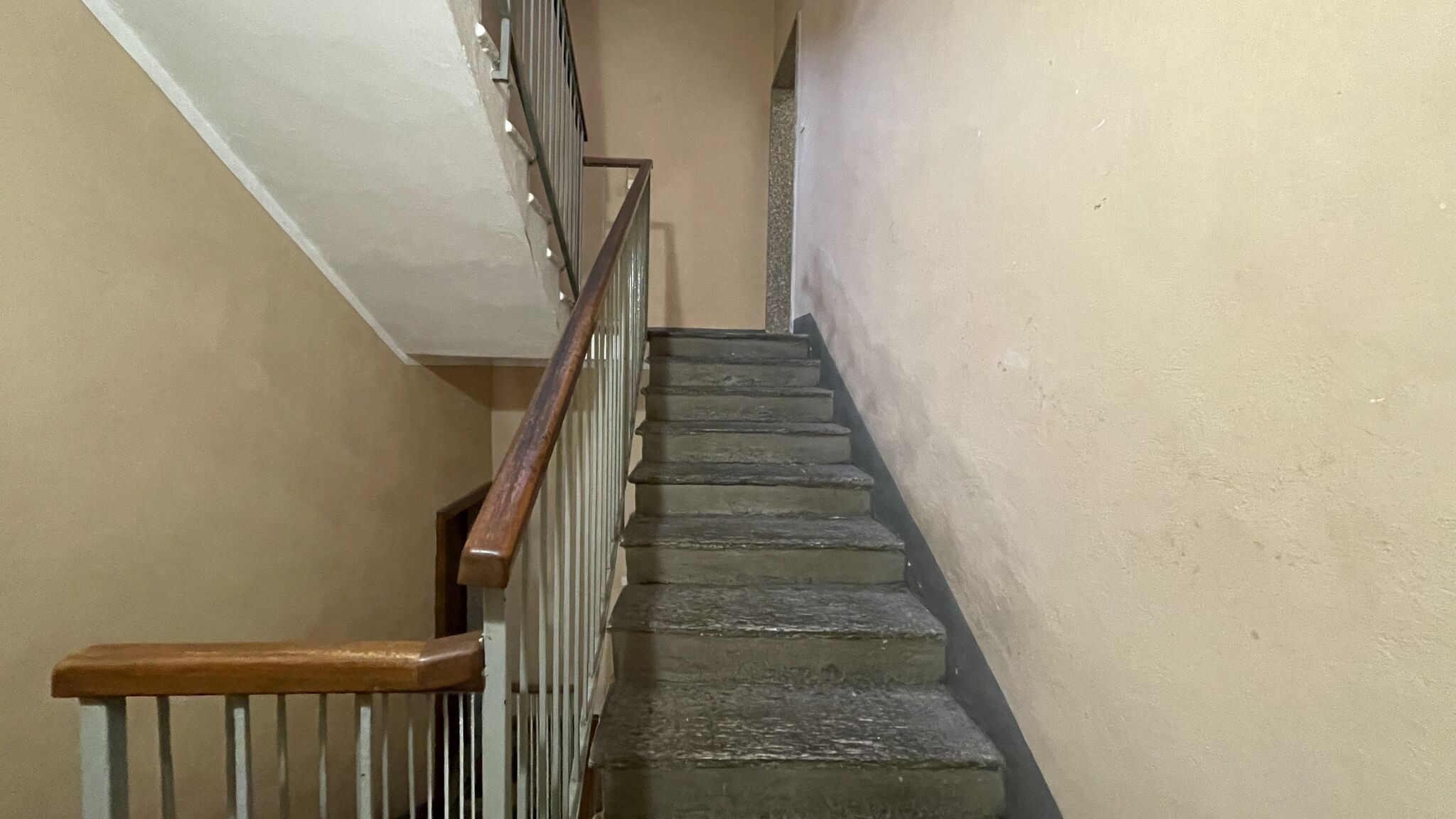 Italianway Broni Fior Di Sambuco