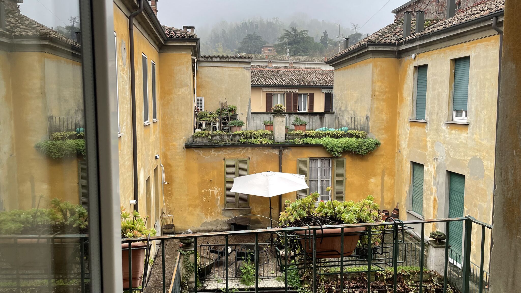 Italianway Broni Fior Di Sambuco