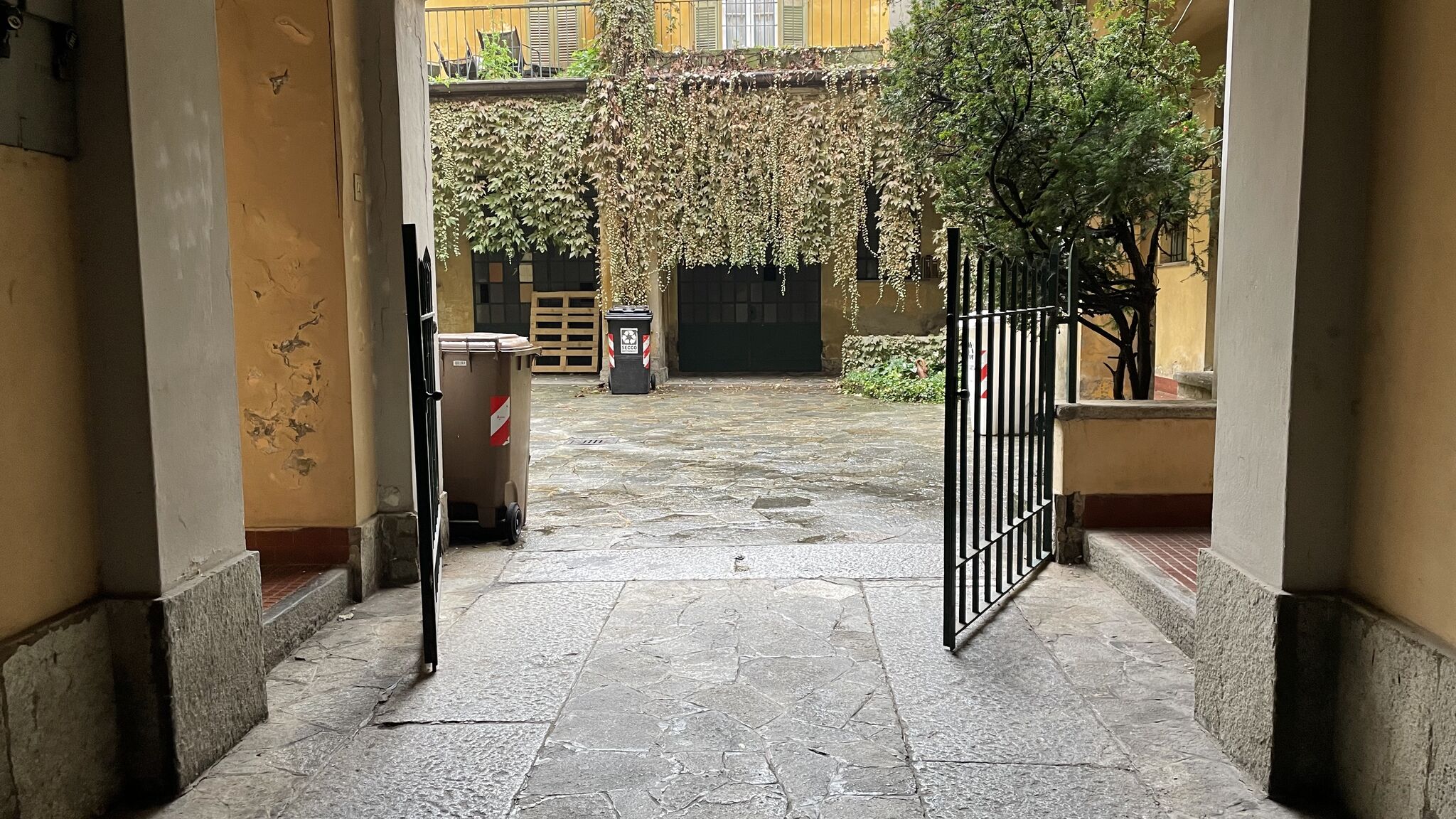 Italianway Broni Fior Di Sambuco