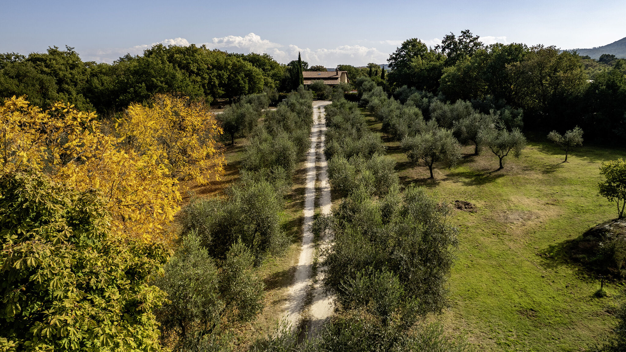 Italianway Vitorchiano Villa Sparta 8+2