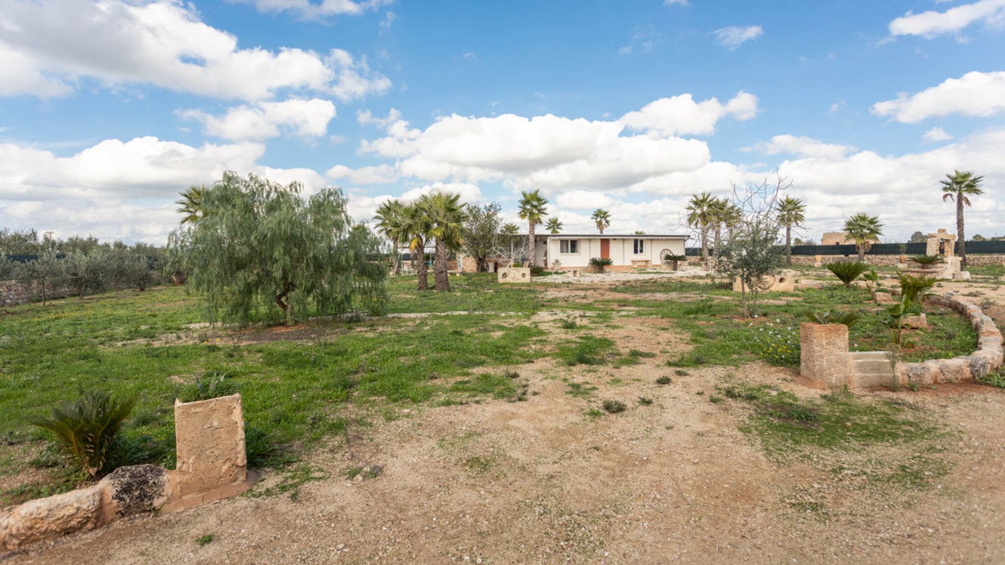 Salento Reservation Racale Tenuta Margherita - Salento Reservation